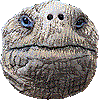 ガラパゴスゾウガメ・あいこん