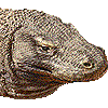 コモドオオトカゲ・あいこん