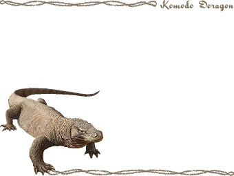 コモド ドラゴン／コモド オオトカゲの年賀状／非商用無料イラスト