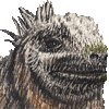 ウミイグアナ・あいこん