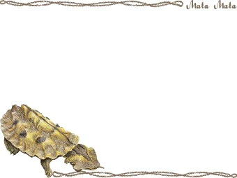 マタマタ／亀の年賀状／非商用無料イラスト