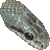 Japanese Rat Snake thumbnail