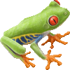 あかめあまがえるのあいこん