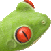 カエル・アイコン
