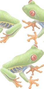 アカメアマガエルの壁紙／非営利無料イラスト