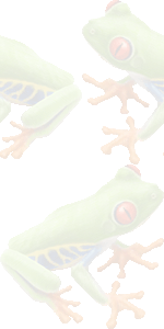 かえるの壁紙／条件付きフリー画像
