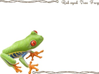 （赤目雨蛙）アカメ アマガエル／カエルの年賀状／非商用無料イラスト