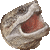 Snapping Turtle, Snapper thumbnail
