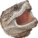 噛付亀・アイコン