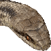縞ヘビ（へび）・アイコン