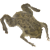 ぴぱぴぱのあいこん