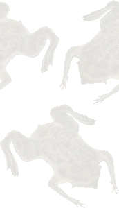 こもりがえるの壁紙／条件付きフリー画像