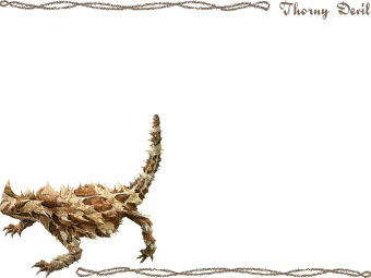 もろくとかげの年賀状／条件付無料素材
