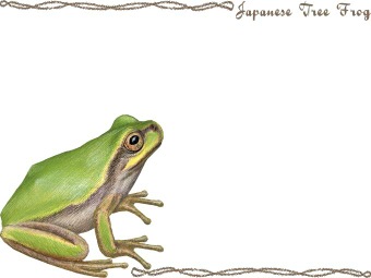 （日本雨蛙）ニホン アマガエル／カエルの年賀状／非商用無料イラスト