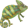 えぼしかめれおんのあいこん