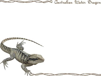 ヒガシ ウォーター ドラゴン／（蜥蜴）トカゲの年賀状／非商用無料イラスト