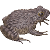 つちがえるのあいこん