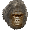ビッグフット・あいこん