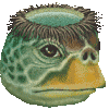 河童・あいこん