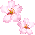 桜のサムネイル