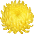 Chrysanthemum, Mum thumbnail