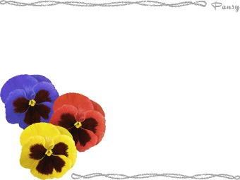 パンジーの花、三色すみれの花の年賀状／非商用無料イラスト