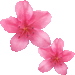 つつじの花・アイコン
