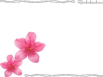 （躑躅、躑蠋の花）ツツジの花の年賀状／非商用無料イラスト