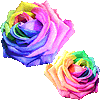 薔薇・あいこん