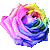 Rose thumbnail