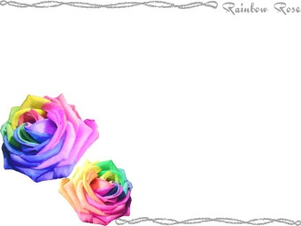 薔薇の花（レインボーローズ）の年賀状／非商用無料イラスト