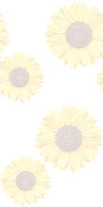 ヒマワリの壁紙／無料イラスト