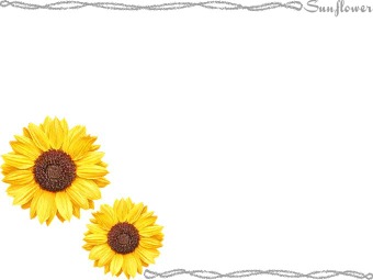 ひまわりの年賀状／条件付無料素材