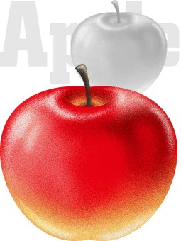 りんごのポストカード／条件付無料素材