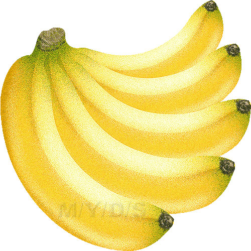 バナナのイラスト／条件付フリー素材集
