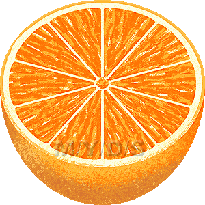 オレンジのイラスト／無料素材集（条件付）