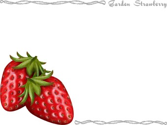 苺（イチゴ）の年賀状／非商用無料イラスト