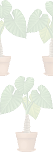 食わず芋の壁紙／条件付きフリー画像