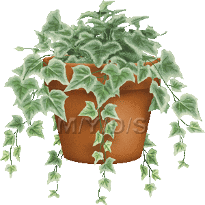 観葉植物のイラスト