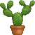 Prickly Pear thumbnail