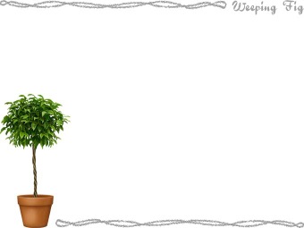 ベンジャミンの年賀状／非商用無料イラスト