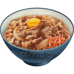 牛丼／フリー素材集