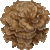 Maitake, Sheep’s Head, Ram’s Head, Hen of the Woods thumbnail