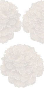舞茸の壁紙／無料イラスト