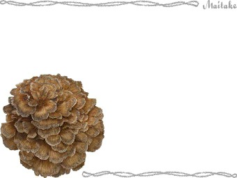 まいたけの年賀状／条件付無料素材