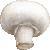 Common Mushroom, Button Mushroom, White Mushroom thumbnail