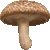 Shiitake mushroom thumbnail