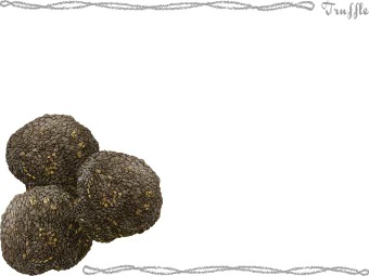 とりゅふの年賀状／条件付無料素材
