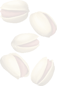 ピスタチオの壁紙／無料イラスト