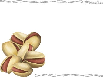 ぴすたちおの年賀状／条件付無料素材